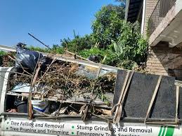 Trusted Placerville, CA Junk Removal Services Experts